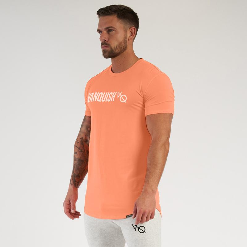 VANQUISH(ヴァンキッシュ) Tシャツ