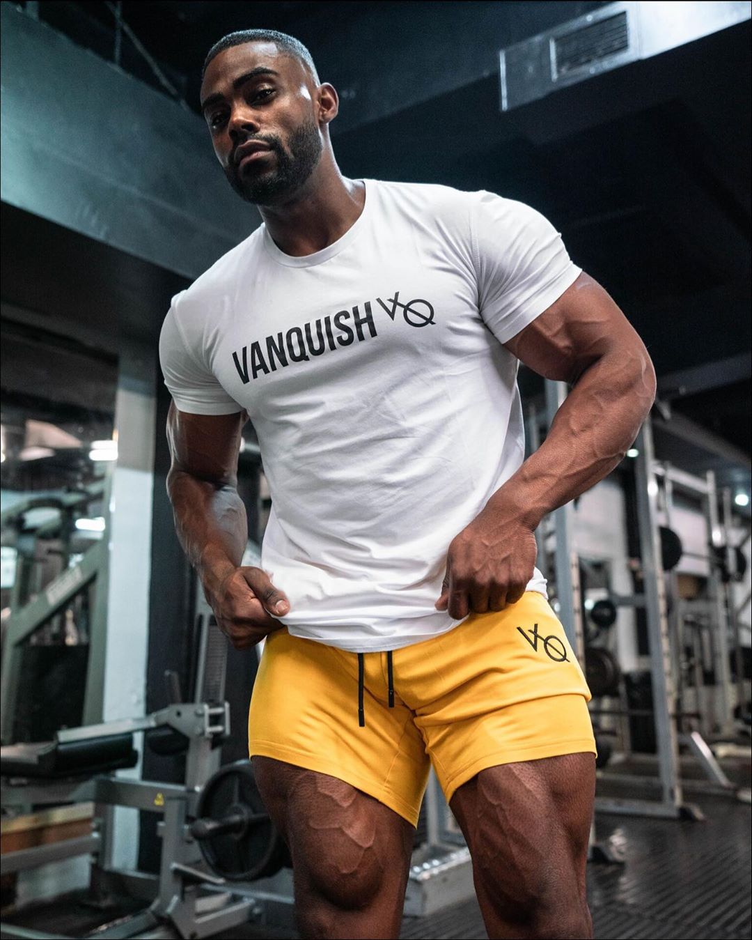 VANQUISH(ヴァンキッシュ) Tシャツ