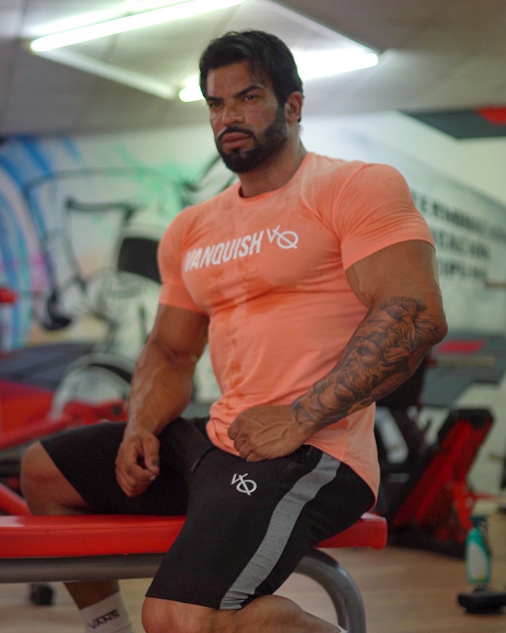 VANQUISH(ヴァンキッシュ) Tシャツ